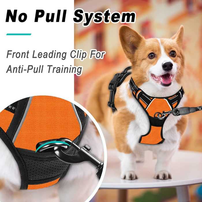 BARKBAY No Pull Dog Harness