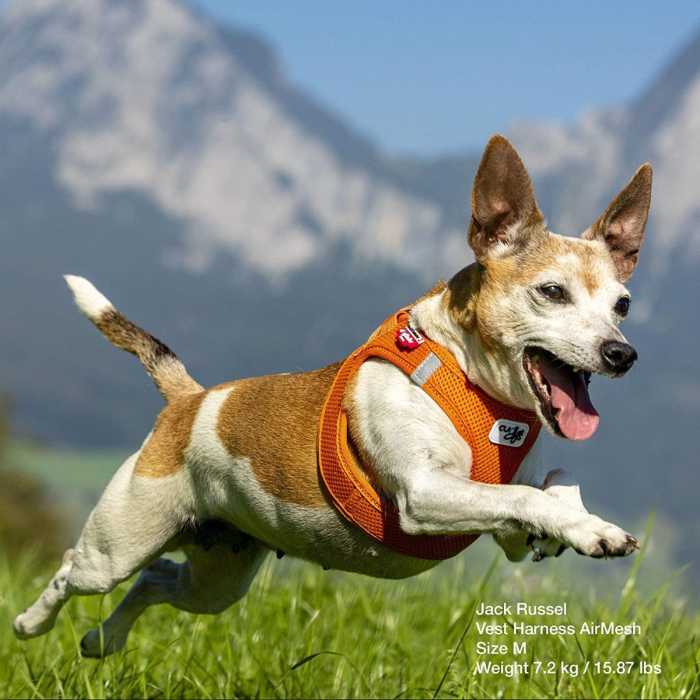 Curli Vest Harness Air-Mesh Dog